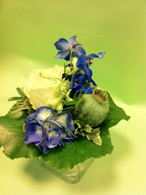 Blume
