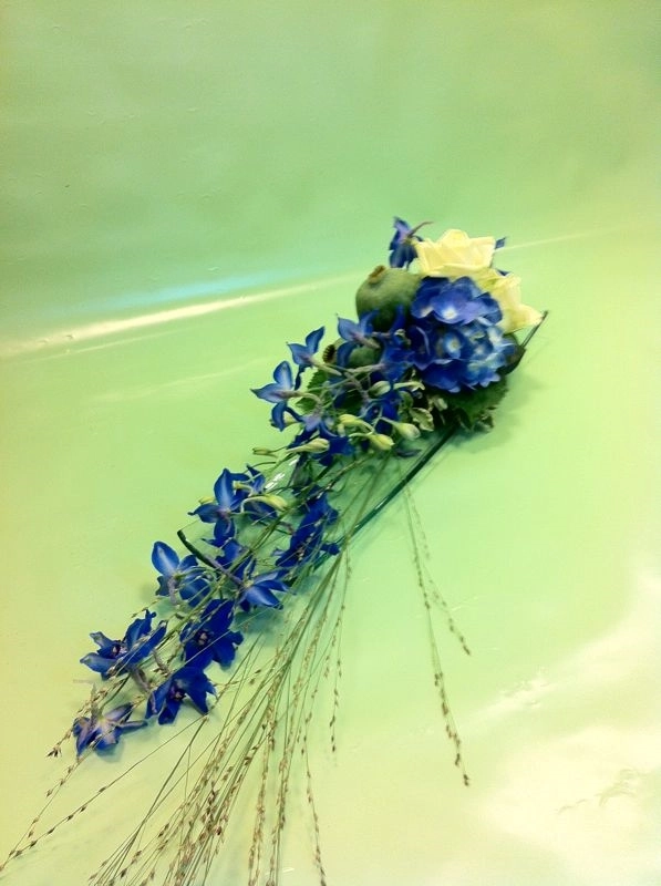 Blume