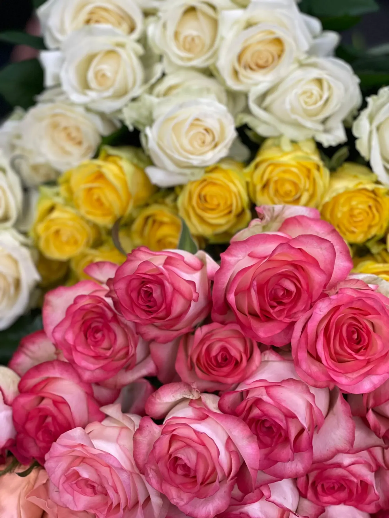 Blume
