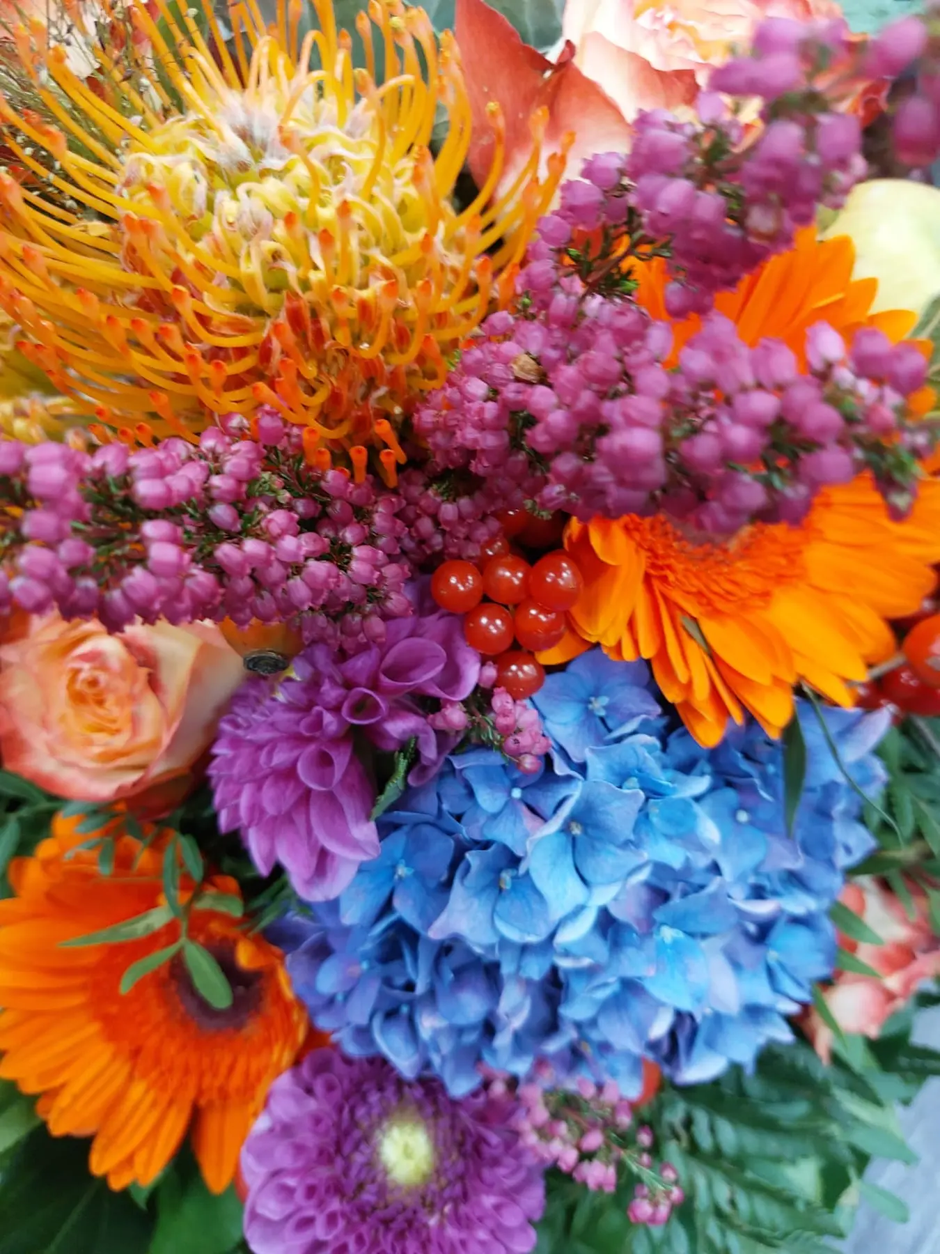 Blume