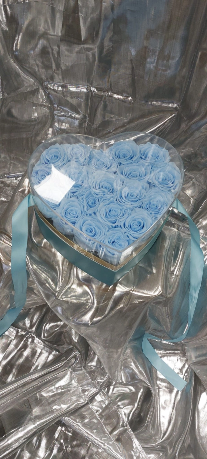 Blume
